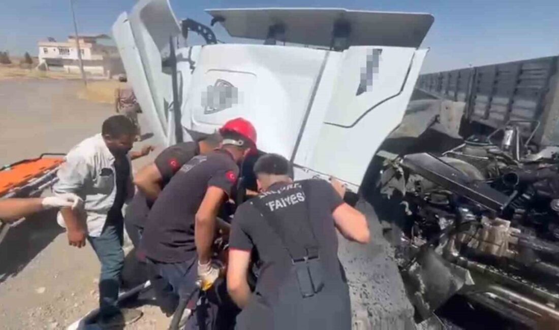 Viranşehir ilçesinde meydana gelen trafik kazasında bir kişi hayatını kaybetti