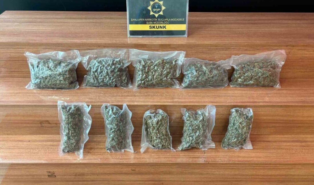 Şanlıurfa’da polis tarafından durdurulan bir araçta skunk olarak bilinen uyuşturucudan