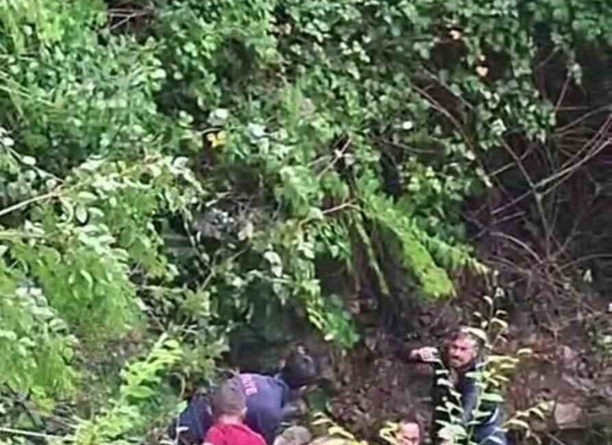 Düzce’de meydana gelen bir olayda, Dokuzdeğirmen köyü yolunda bir araç