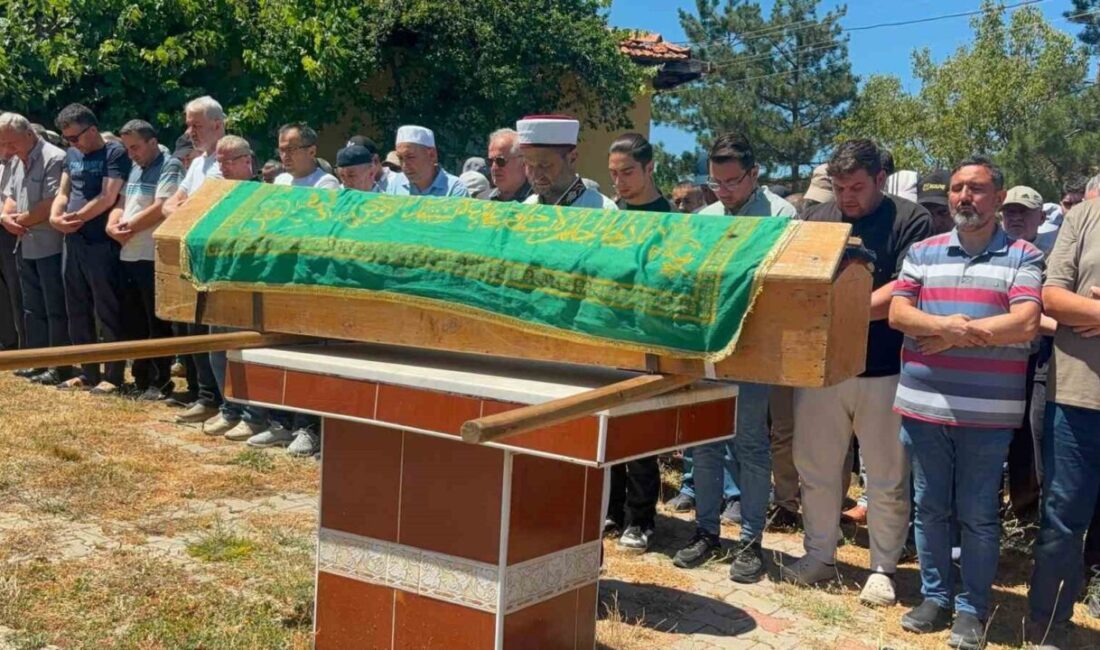 Kütahya’nın Tavşanlı ilçesinde sarı kantaron toplamak için dağlık alana çıkan