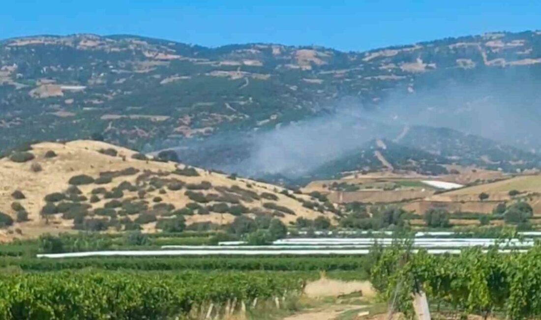 Manisa’nın Sarıgöl ilçesinde ormanlık alanda yangın çıktı. İtfaiye ekipleri, Güneydamlar