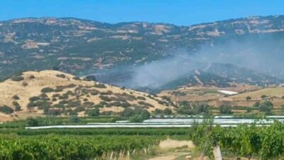 Manisa’nın Sarıgöl ilçesinde ormanlık alanda yangın çıktı. İtfaiye ekipleri, Güneydamlar