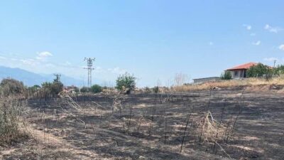 Sarıgöl İlçe Tarım ve Orman Müdürü Ahmet Akar, önümüzdeki üç