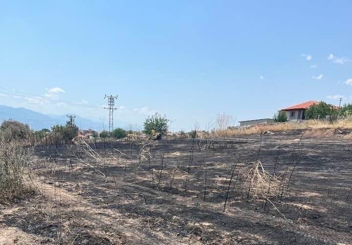 Sarıgöl İlçe Tarım ve Orman Müdürü Ahmet Akar, önümüzdeki üç