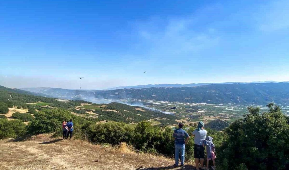 Sarıgöl ilçesinde çıkan orman yangını, Güneydamlar ve Tekeliler mahalleleri arasındaki