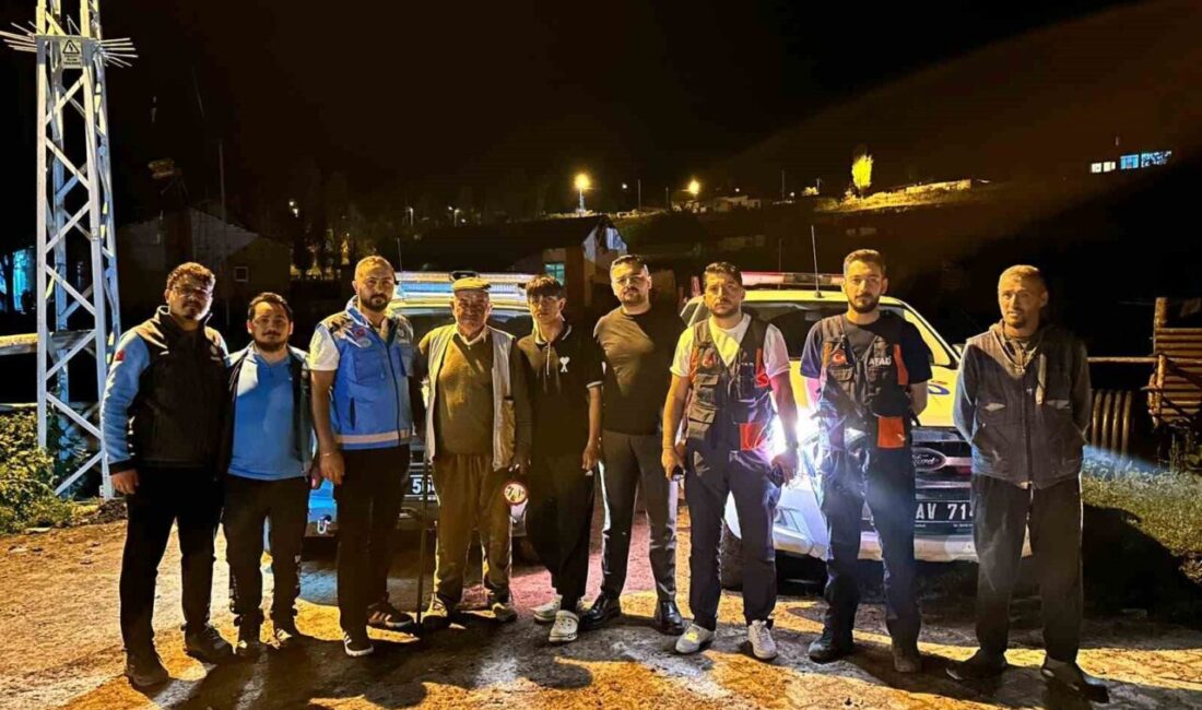 Sarıkamış ilçesine bağlı Boyalı köyünde 17 yaşındaki Abdulsamet D., hayvanlarını