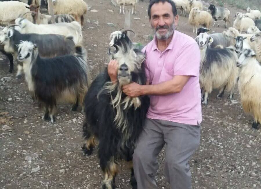 Artvin’in Şavşat ilçesinde meydana gelen bir trafik kazasında kamyonetin dereye