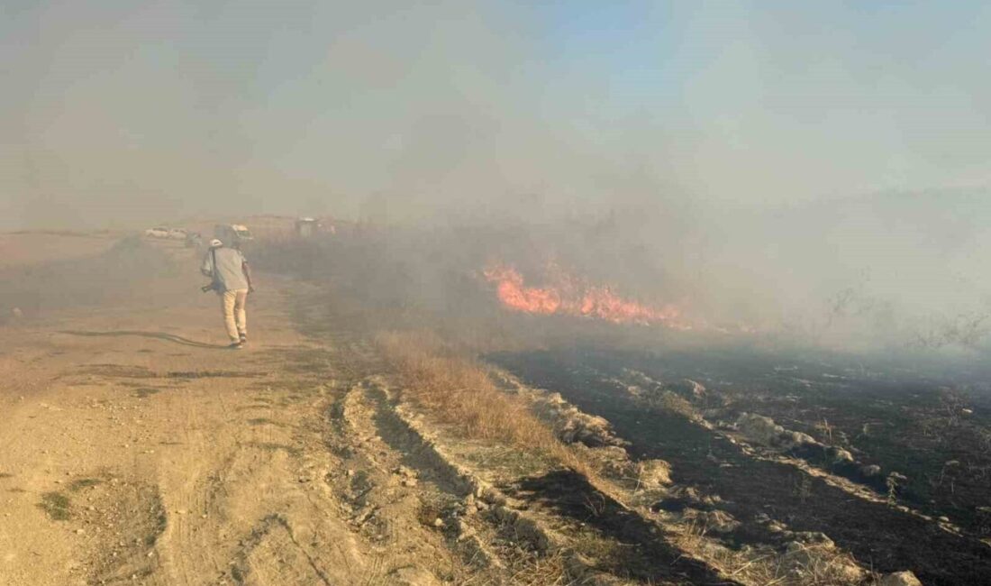 Antalya’nın Serik ilçesinde, tarım arazisinde çıkan anız yangını, rüzgarın etkisiyle
