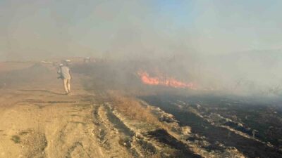Antalya’nın Serik ilçesinde, tarım arazisinde çıkan anız yangını, rüzgarın etkisiyle