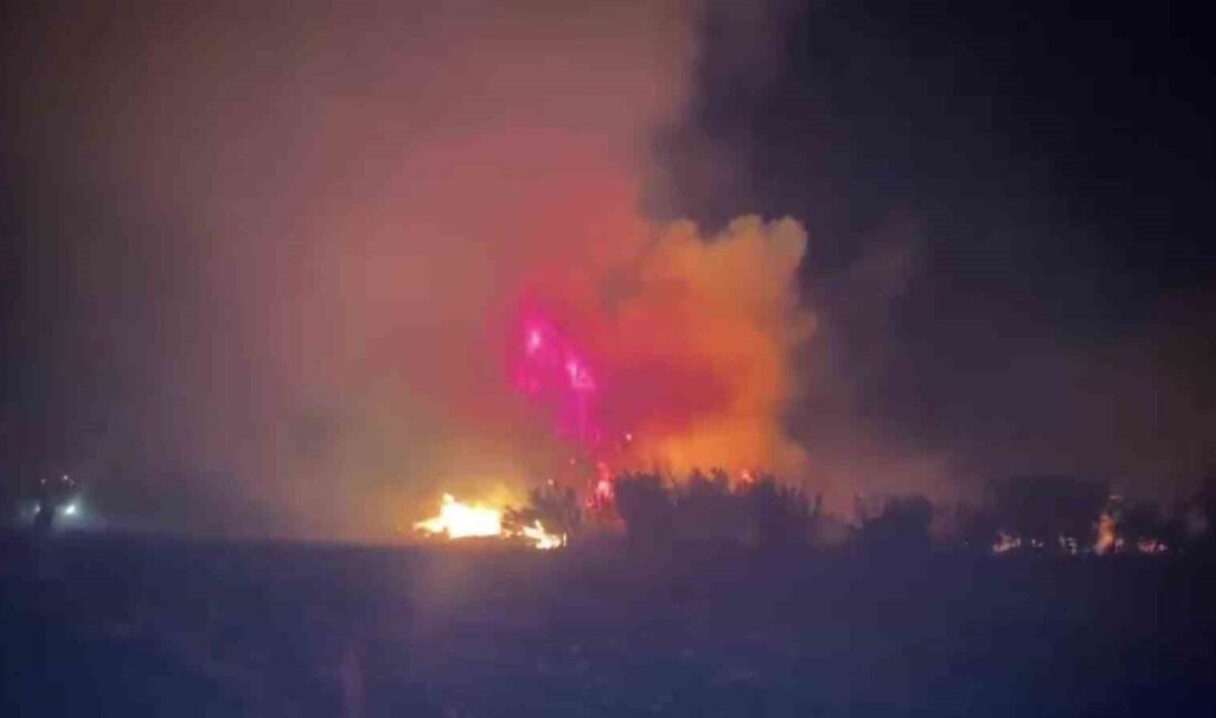 Antalya’nın Serik ilçesindeki ormanlık alanda yangın çıktı. Ev ve seralara