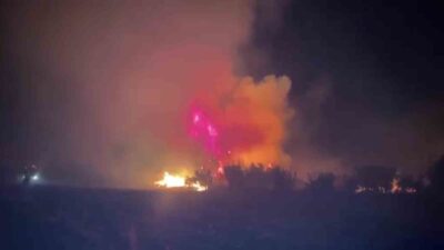 Antalya’nın Serik ilçesindeki ormanlık alanda yangın çıktı. Ev ve seralara