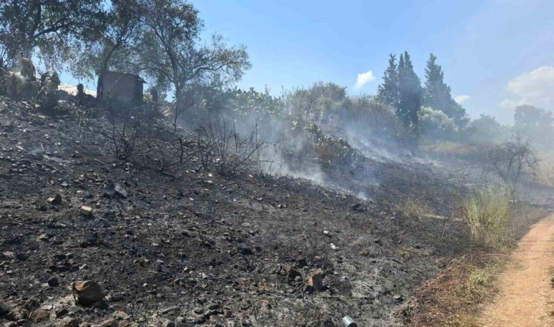 Serik ilçesine bağlı Yanköy Mahallesi’nde, yol kenarındaki otluk ve çalılık