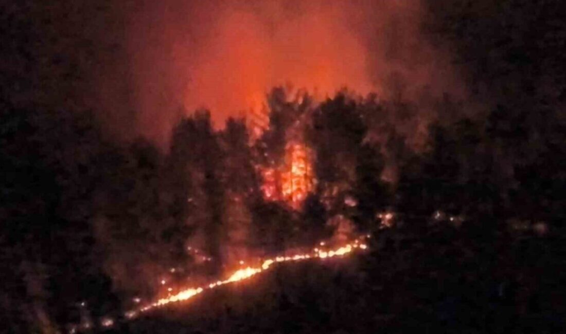 Muğla’nın Seydikemer ilçesinde çıkan ve şiddetli rüzgarın etkisiyle ormanlık alana