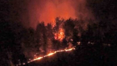 Muğla’nın Seydikemer ilçesinde çıkan ve şiddetli rüzgarın etkisiyle ormanlık alana
