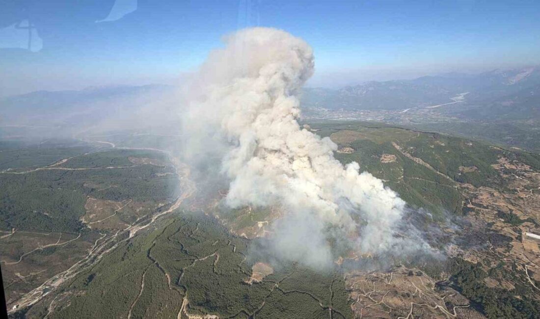 Muğla’nın Seydikemer ilçesinde Bayır Mahallesi’nde başlayan orman yangını, ormanlık alanlara