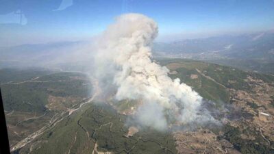Muğla’nın Seydikemer ilçesinde Bayır Mahallesi’nde başlayan orman yangını, ormanlık alanlara
