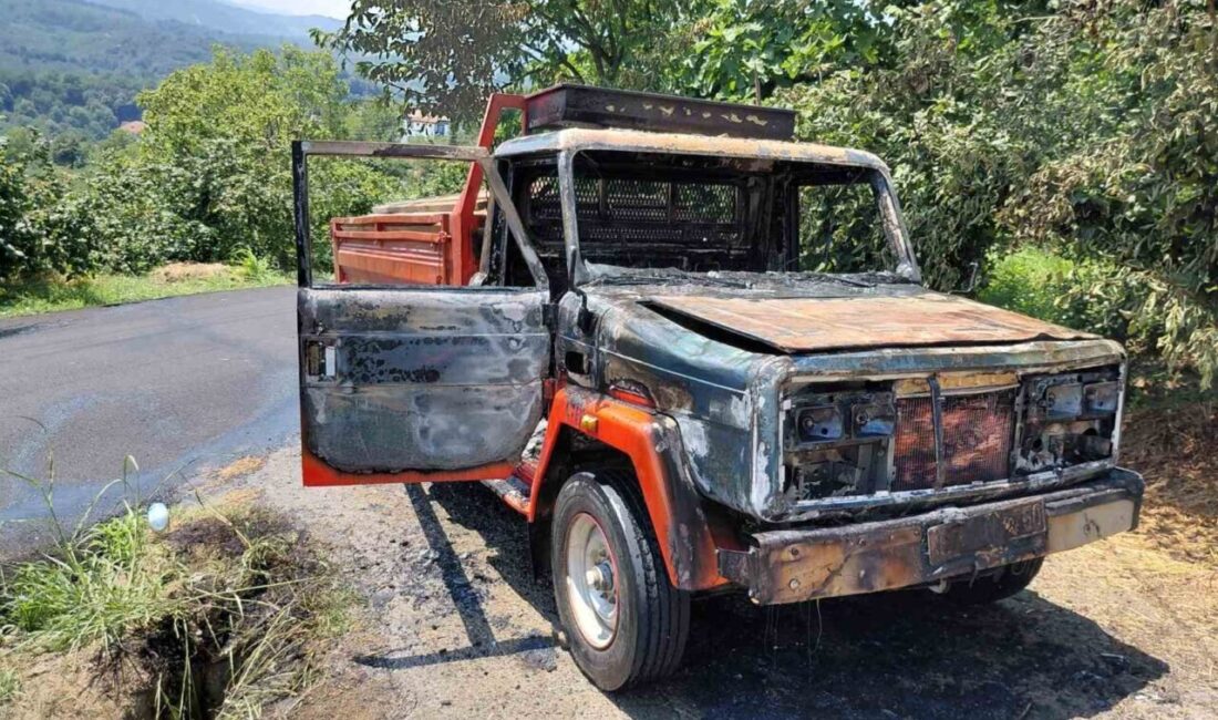 Alaplı ilçesinde seyir halindeyken alev alan bir kereste yüklü kamyonet,