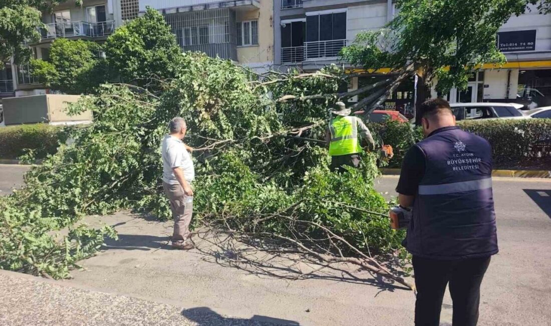 Efeler ilçesinde seyir halindeki bir otomobilin üzerine, Orta Mahalle Doğu