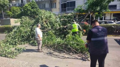 Efeler ilçesinde seyir halindeki bir otomobilin üzerine, Orta Mahalle Doğu