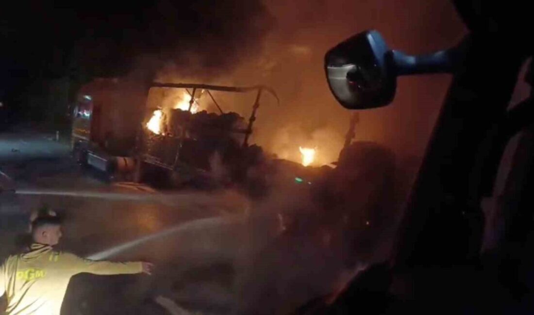Çanakkale’nin Lapseki-Biga yolu üzerinde seyir halindeyken meydana gelen bir olayda,