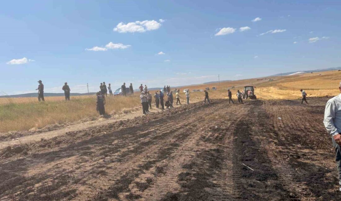 Eskişehir’in Seyitgazi ilçesinde, Karaören Mahallesi’nde meydana gelen yangın, bir biçerdöverin