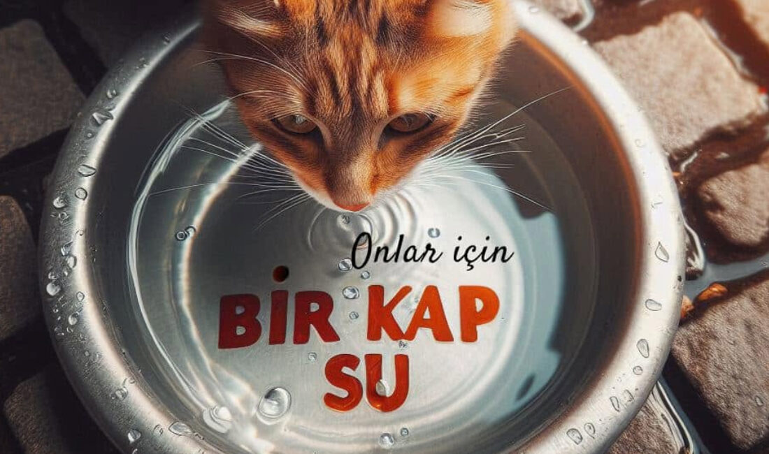 Yozgat genelinde hava sıcaklıklarının mevsim normallerinin üzerine çıkması ve aşırı