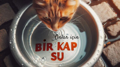 Yozgat genelinde hava sıcaklıklarının mevsim normallerinin üzerine çıkması ve aşırı