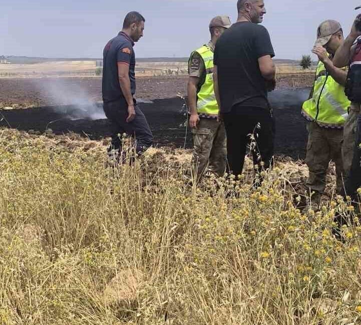 Siirt’in Kurtalan ilçesinde anız yangını, itfaiye ve jandarma ekipleri tarafından