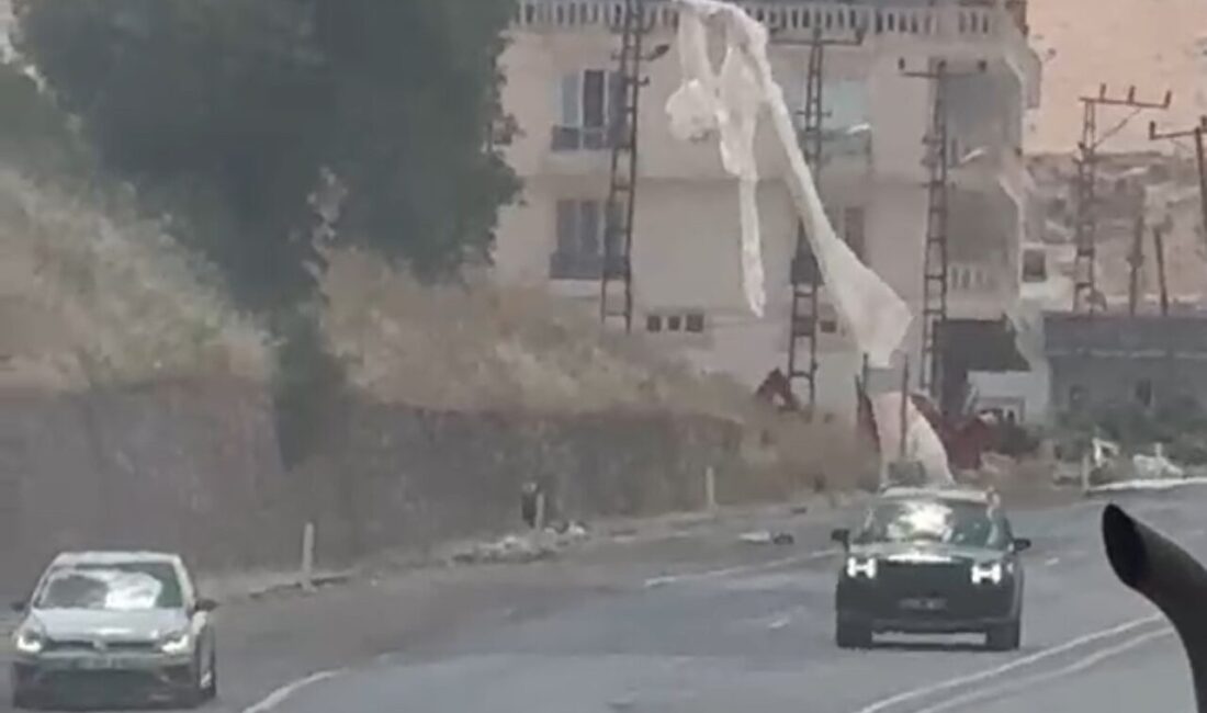 Siirt’te elektrik direğine dolanan bir brandanın tutuşması sonucunda yangın çıktı.