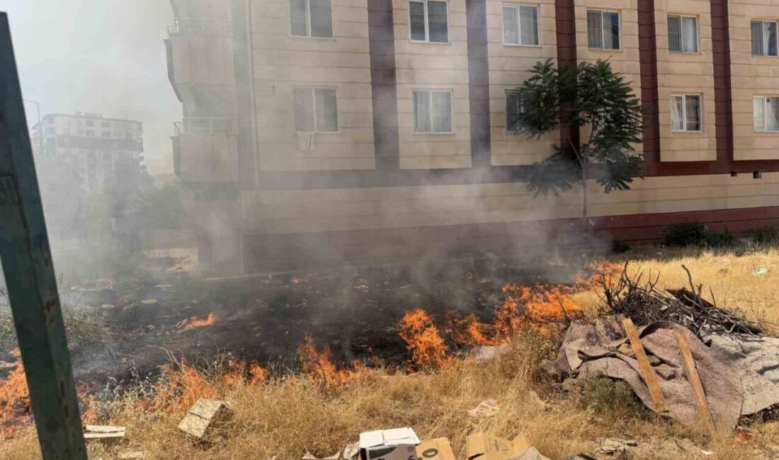 Siirt’in Kurtalan ilçesinde bir sitenin bahçesinde çıkan yangın korku ve
