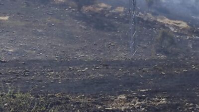 Siirt’in Akyamaç köyünde meydana gelen yangında yaklaşık 50 dönümlük mera