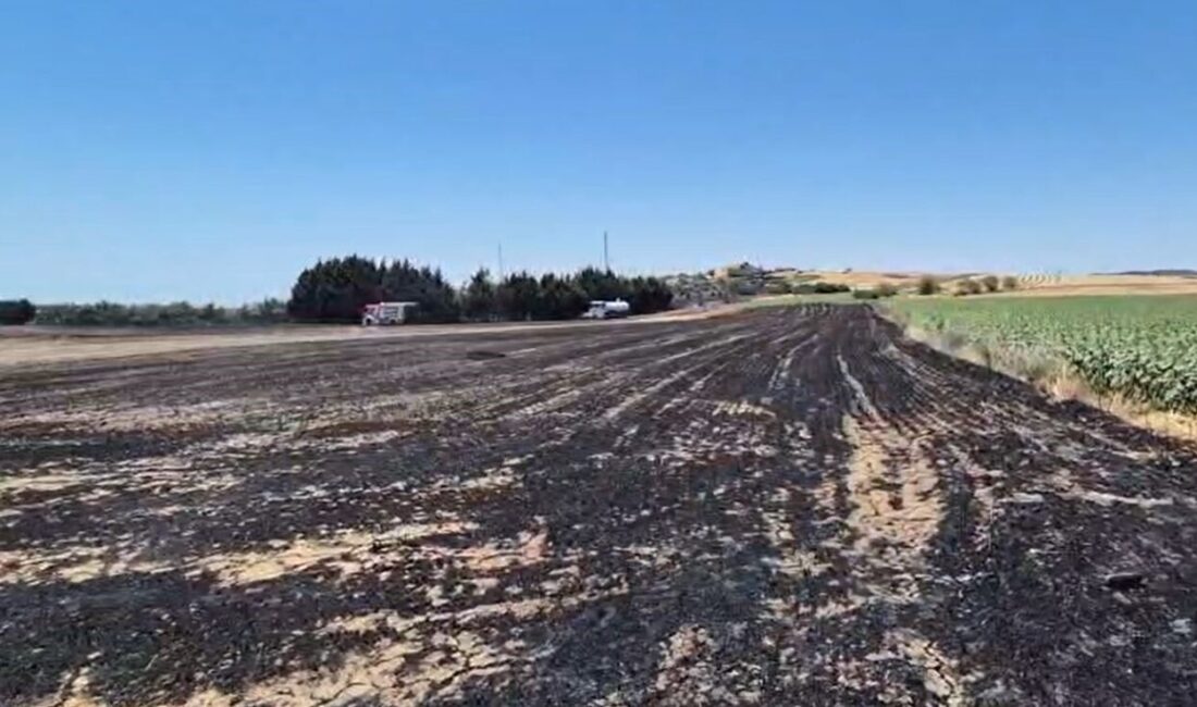 Seymen Mahallesi’nde gerçekleşen elektrik direği kesimi sırasındaki yangın, tarım arazilerini