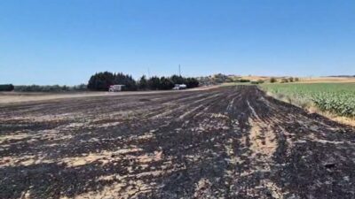 Seymen Mahallesi’nde gerçekleşen elektrik direği kesimi sırasındaki yangın, tarım arazilerini