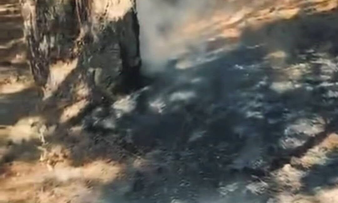 Simav ilçesinde yer alan Gölcük Mesire Alanı’nda çıkan yangın, yardım