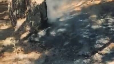 Simav ilçesinde yer alan Gölcük Mesire Alanı’nda çıkan yangın, yardım