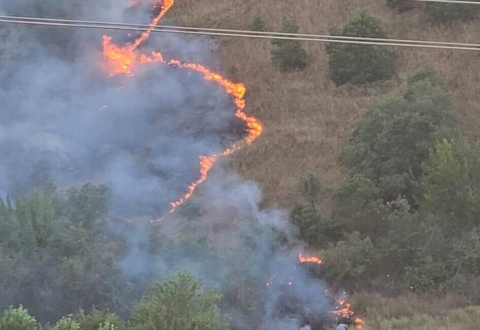 Simav ilçesine bağlı Kütahya’daki Kalkın köyü yakınlarında meydana gelen orman