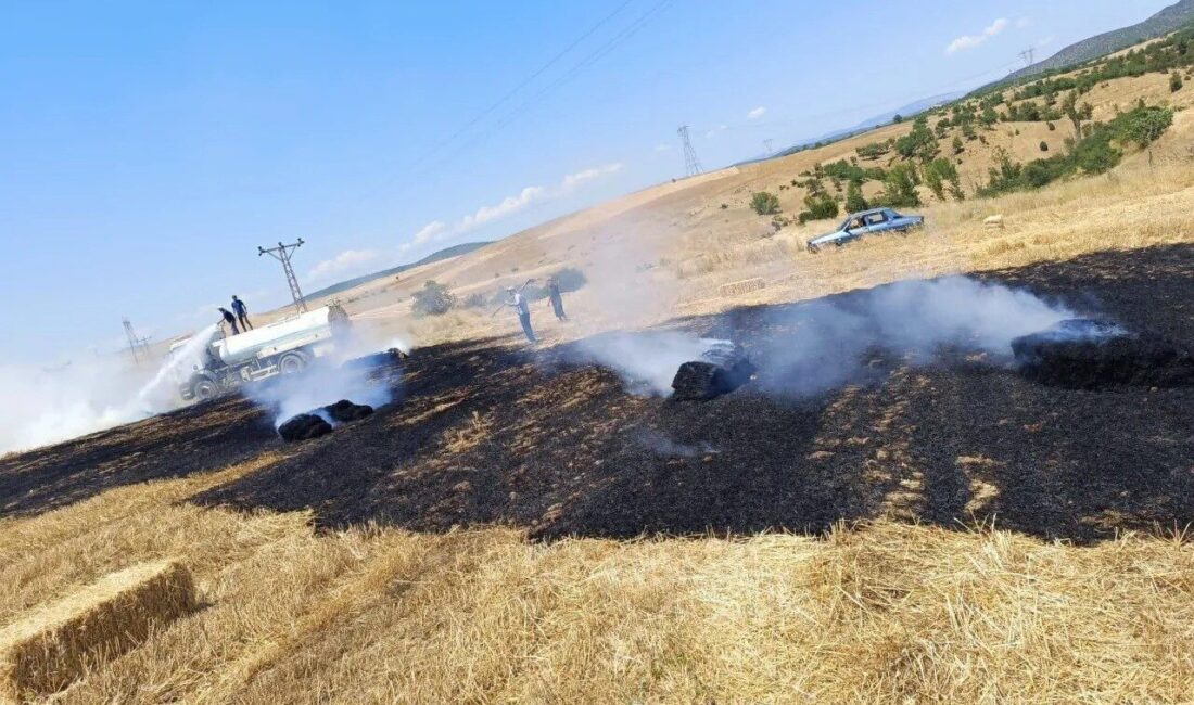 Sinop’un Saraydüzü ilçesinde, Akbelen köyü Harmanaltı mevkiinde tarla hasadı esnasında