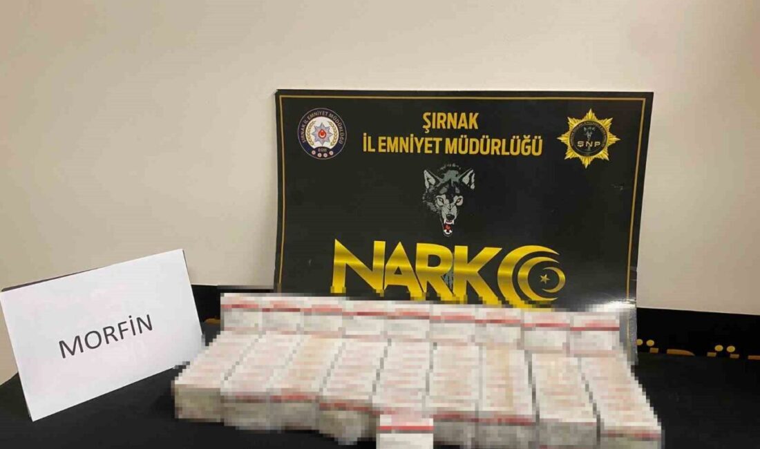 Şırnak ilinde gerçekleştirilen operasyonlarda, piyasa değeri yaklaşık 1 milyon 950