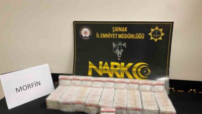 Şırnak ilinde gerçekleştirilen operasyonlarda, piyasa değeri yaklaşık 1 milyon 950