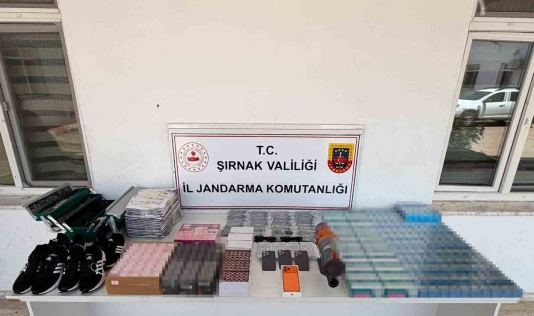 Şırnak’ta, İl Jandarma Komutanlığı ekiplerinin son bir hafta içinde gerçekleştirdiği
