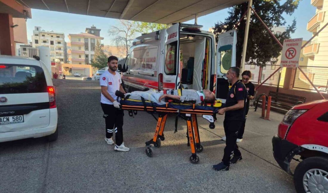 Şırnak’ın Cizre ilçesinde meydana gelen trafik kazasında bir otomobilin şarampole
