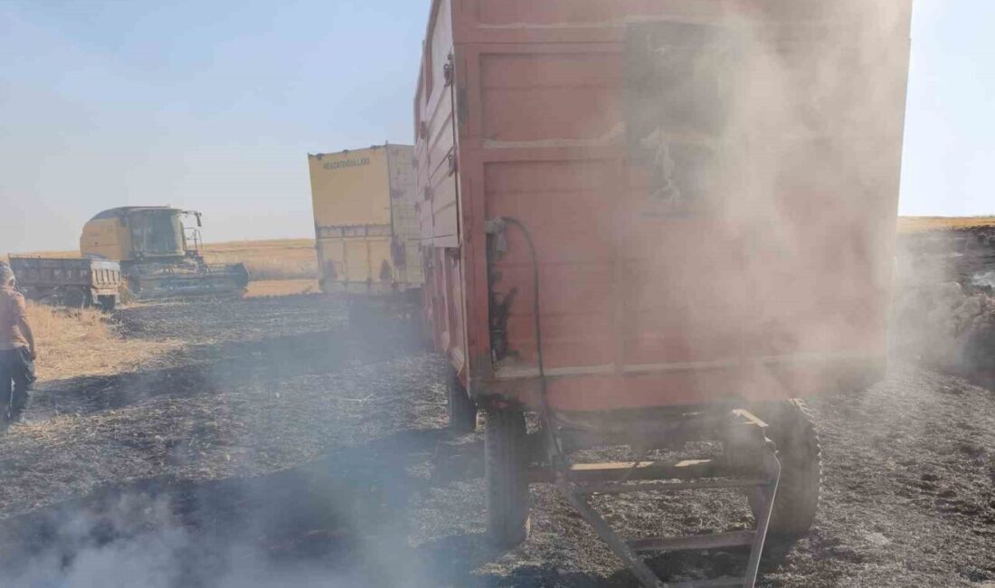 Şırnak’ın Cizre ilçesinde bir çoban, uyurken çıkan anız yangınının neden