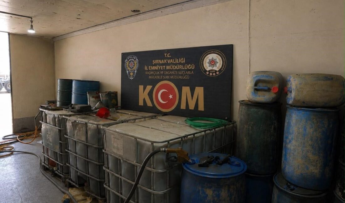 Şırnak ilinde gerçekleştirilen asayiş, narkotik ve kaçakçılık operasyonlarında 500 bin