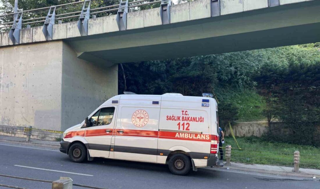 İstanbul Şişli ilçesinde, bir erkek cesedi yol kenarındaki yeşil alanda