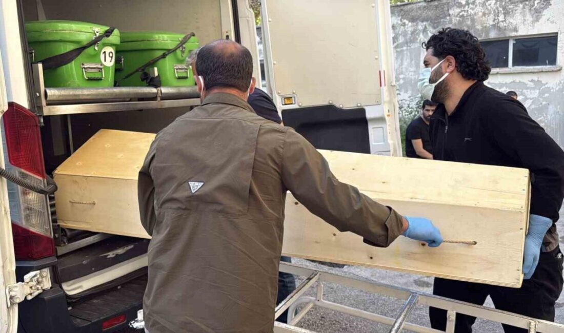 Sivas’ta kene ısırması sonucu rahatsızlanan bir yaşlı kadın, tedavi gördüğü