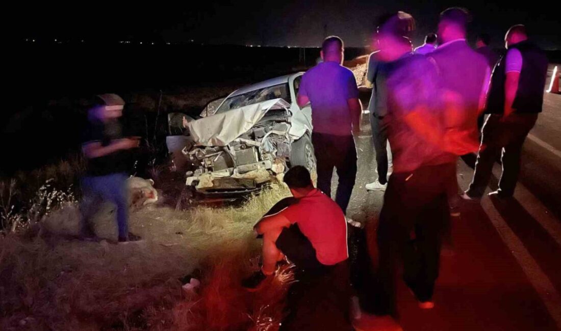 Siverek ilçesinde meydana gelen trafik kazasında otomobilin koyun sürüsüne çarpması
