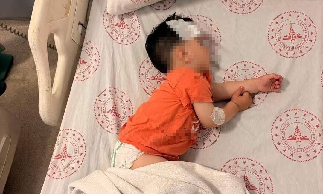Şanlıurfa’da, Halfeti ilçesine bağlı Yukarı Göklü kırsal Mahallesi’nde meydana gelen