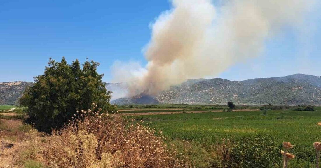 Söke ilçesindeki tarım arazisinde çıkan yangını söndürme çabaları devam ediyor.