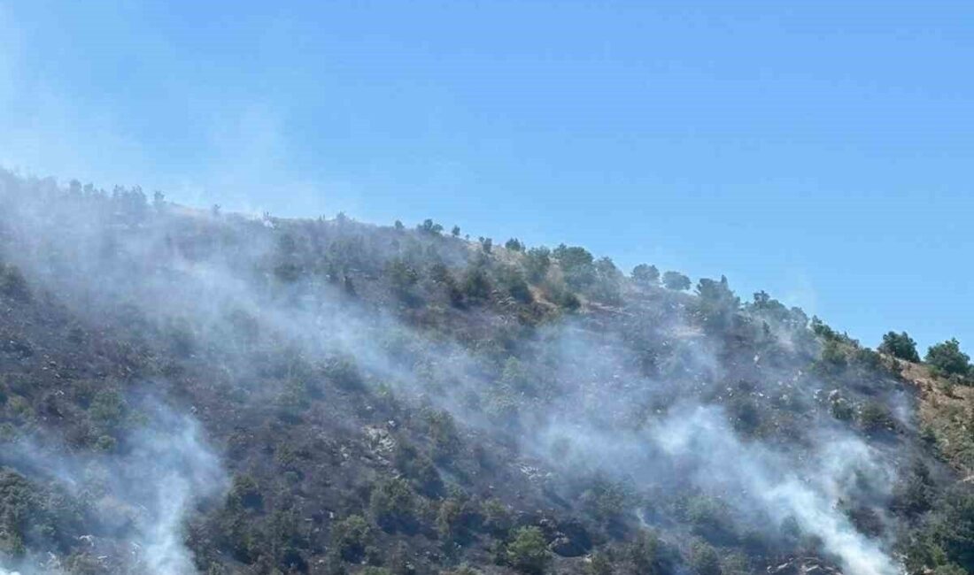 Sultanhisar ilçesinde, tarım arazisinde çıkan yangın ekiplerin hızlı müdahalesiyle kontrol