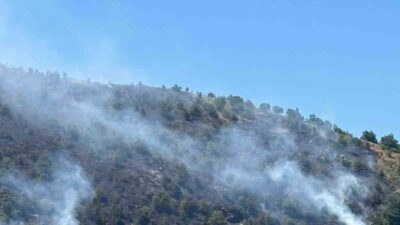 Sultanhisar ilçesinde, tarım arazisinde çıkan yangın ekiplerin hızlı müdahalesiyle kontrol